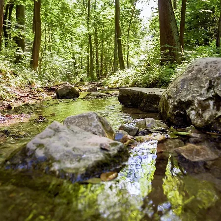 Kompleks Paczoltowice Paczoltowice