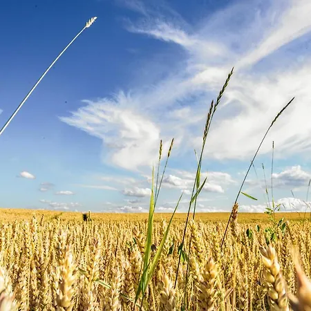 Kompleks Paczoltowice 3* Paczoltowice