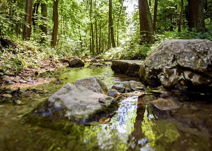 Kompleks Paczoltowice Paczoltowice