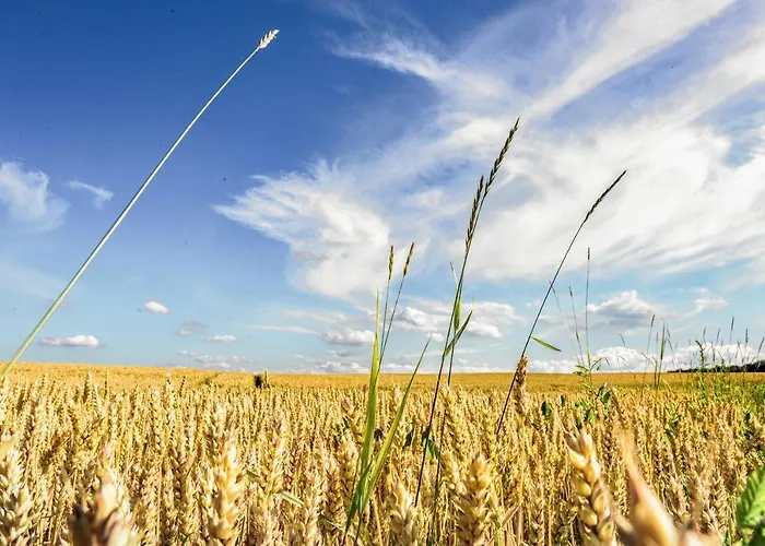 Kompleks Paczoltowice 3* Paczoltowice