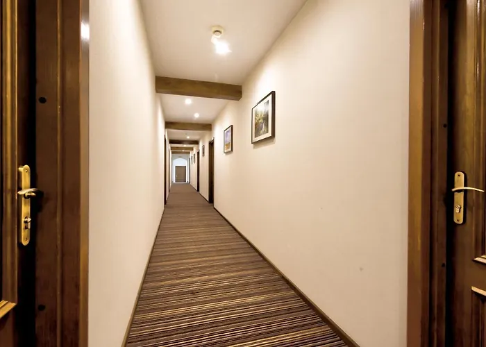 מלון Kompleks Paczoltowice 3*